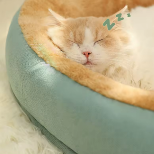 Lit pour Animal de Compagnie Confortable en Peluche Carré – Niche pour Chiot et Chat – Canapé Coussin pour Petits et Moyens Animaux