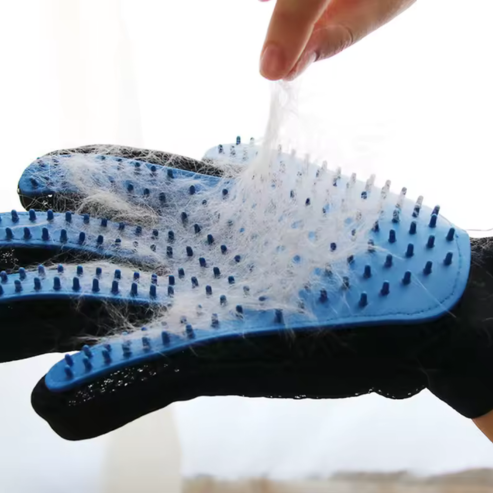 Gants d'épilation pour animaux de compagnie